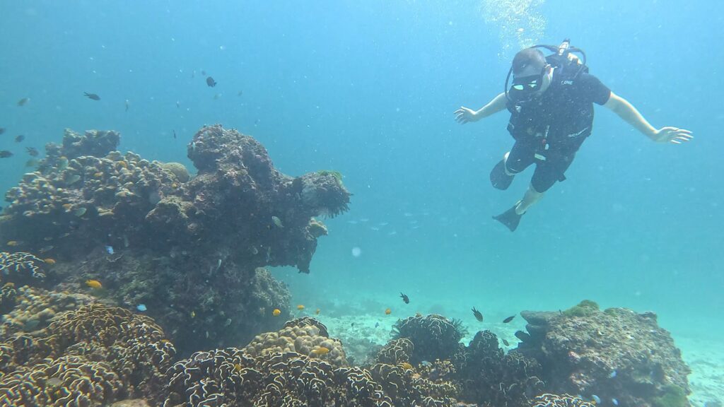A scuba diver swimming beside a coral reef